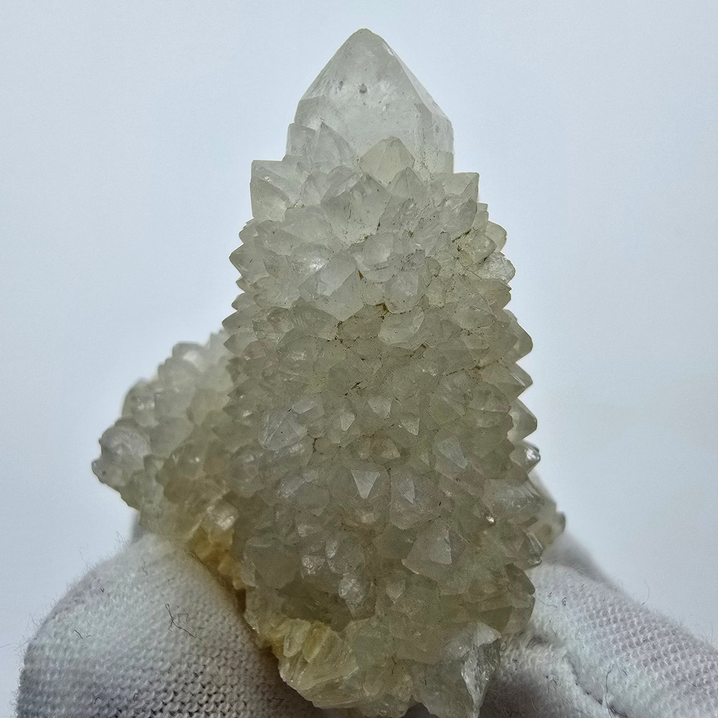 Kaktusquarz, Spirit Quarz XX Stufe Boekenhouthoek, Südafrika 51*40*47mm Sammlung