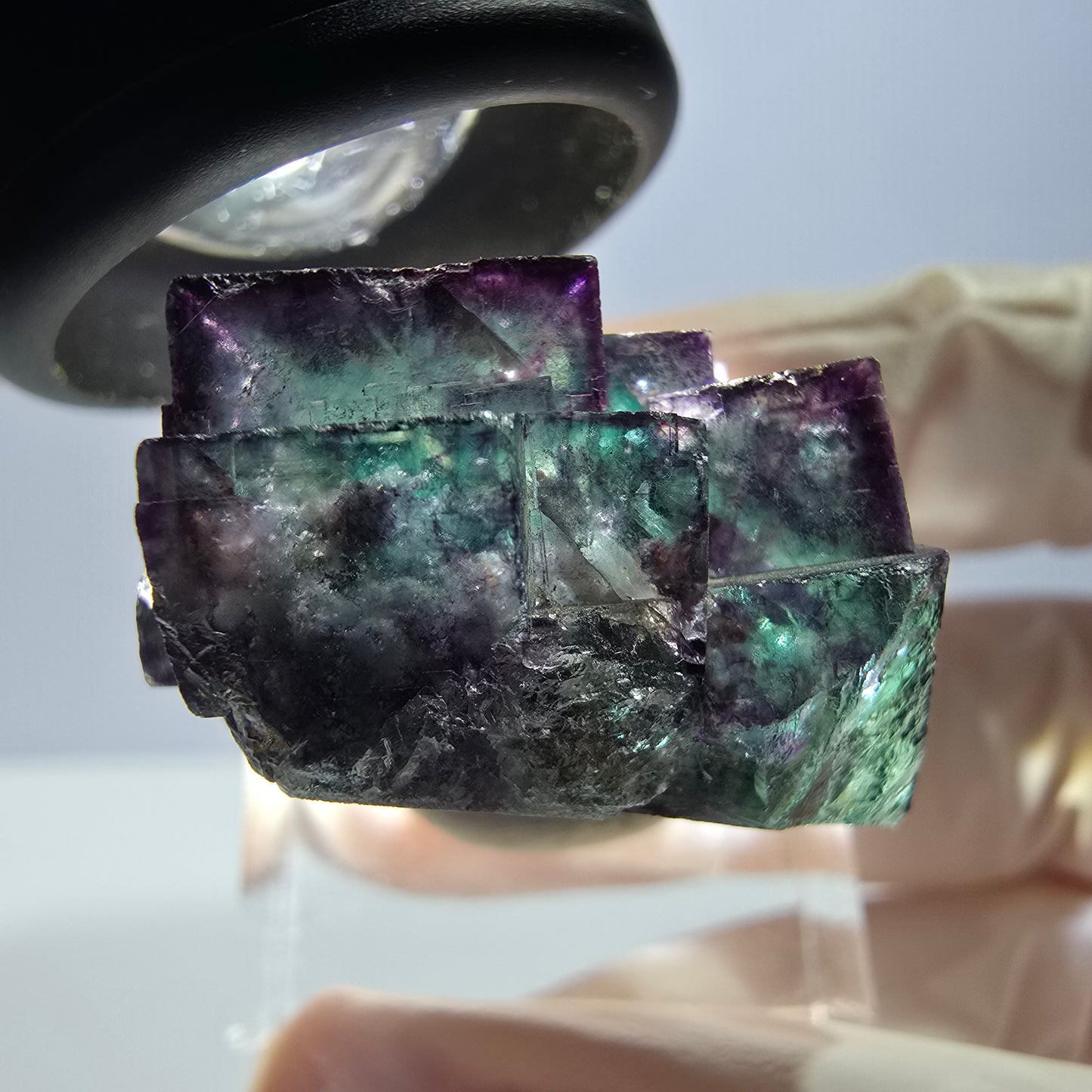 Phantom Fluorit Würfel Stufe, parkettiert grün lila Okorusu, Namibia 29*28*16mm