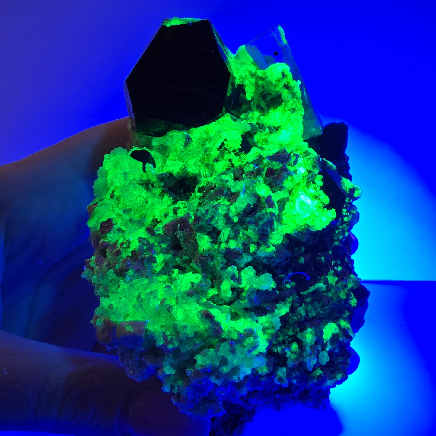 Grand spécimen d'aigue-marine, de tourmaline schorl, d'hyalite et d'orthose, Erongo, Namibie, 107 x 70 x 45 mm