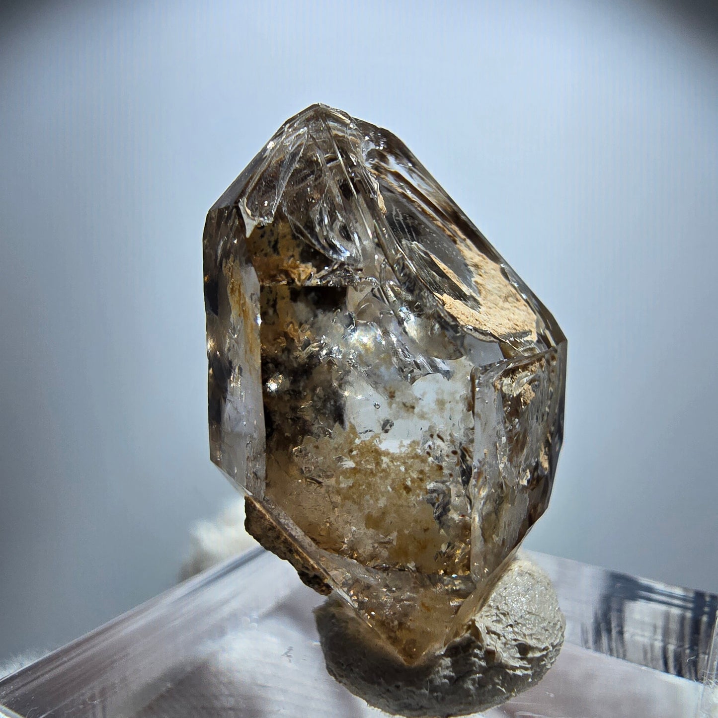 Enhydro Phantom Rauchquarz Fenster Zepter, 2x Blase Goboboseb Namibia 26*21*14mm