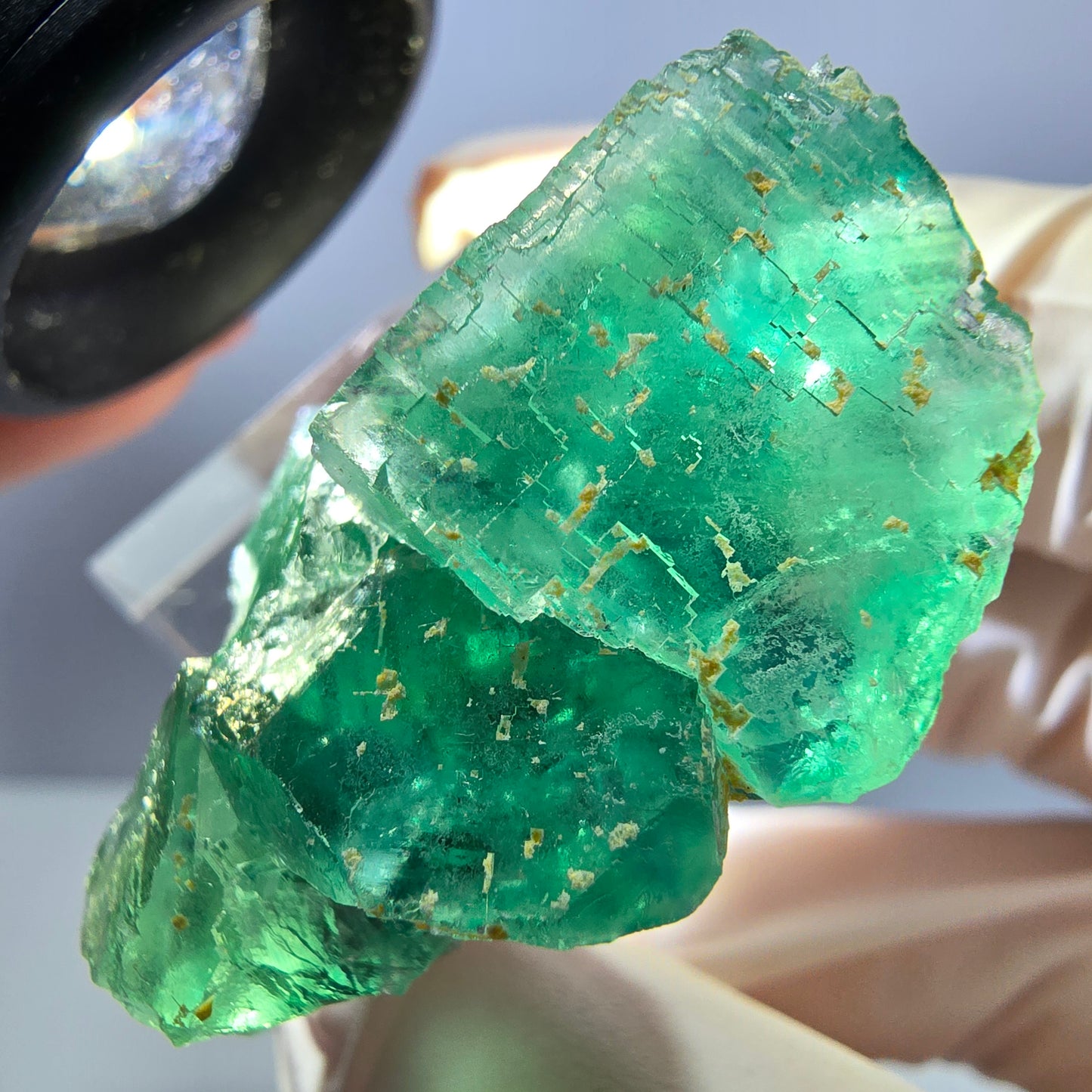 Spécimen de cube de fluorite fantôme, parquet vert Okorusu, Namibie 36 x 36 x 18 mm