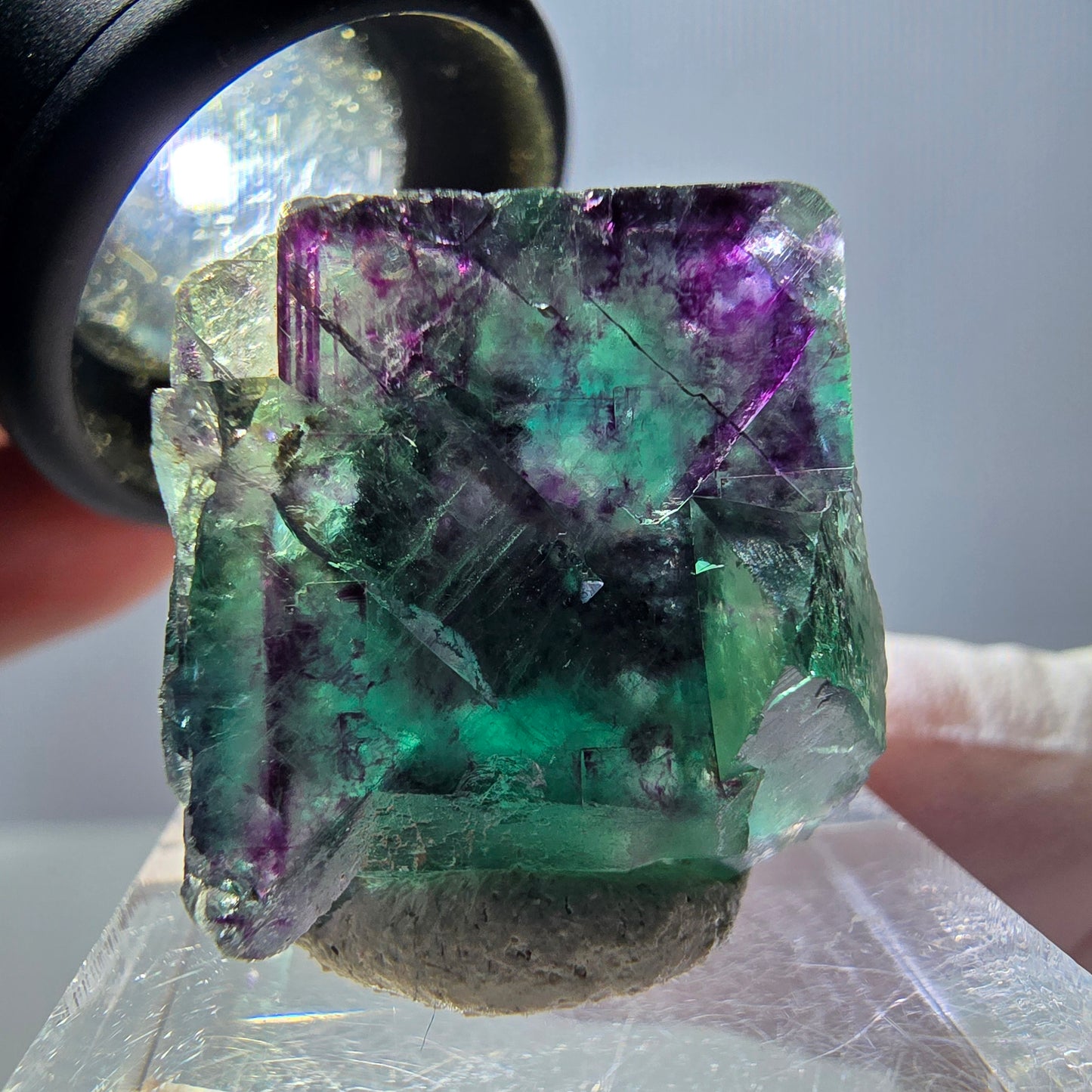 Spécimen de cube de fluorite fantôme, parqueté vert violet Okorusu, Namibie 22*22*18 mm