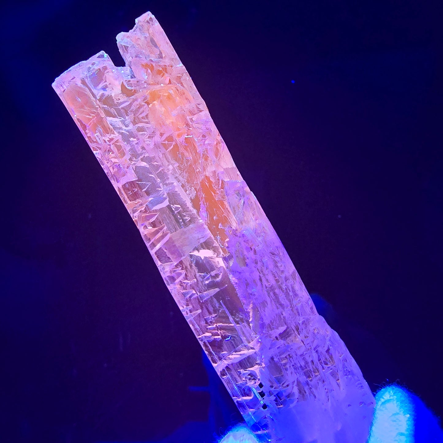 Seltener Kunzit X Spodumen Kristall rosa UV Mineral 77*17*12mm aus Brasilien