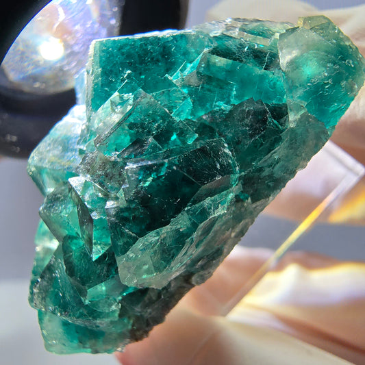 Phantom Fluorit Würfel Stufe, grün parkettiert Okorusu, Namibia 41*26*21mm