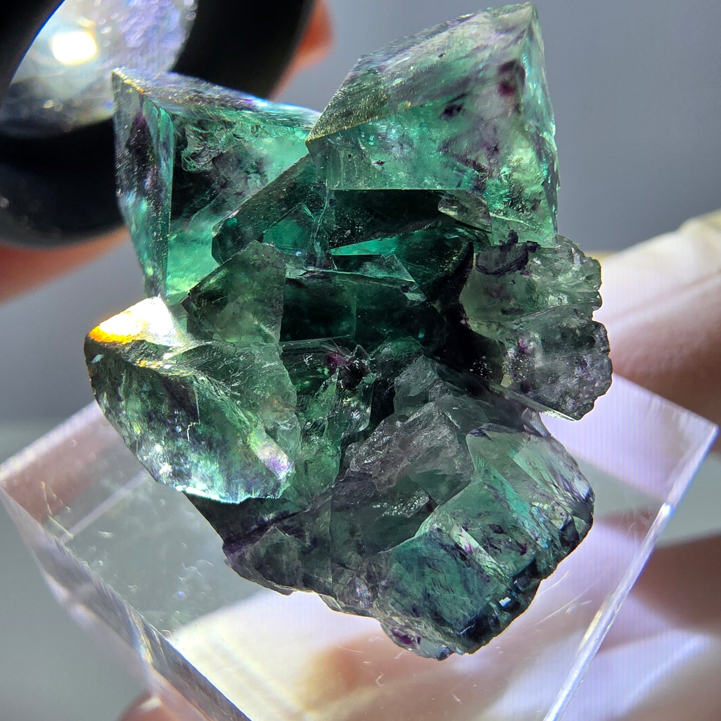 Phantom Fluorit Würfel Stufe, parkettiert grün lila Okorusu, Namibia 31*25*14mm