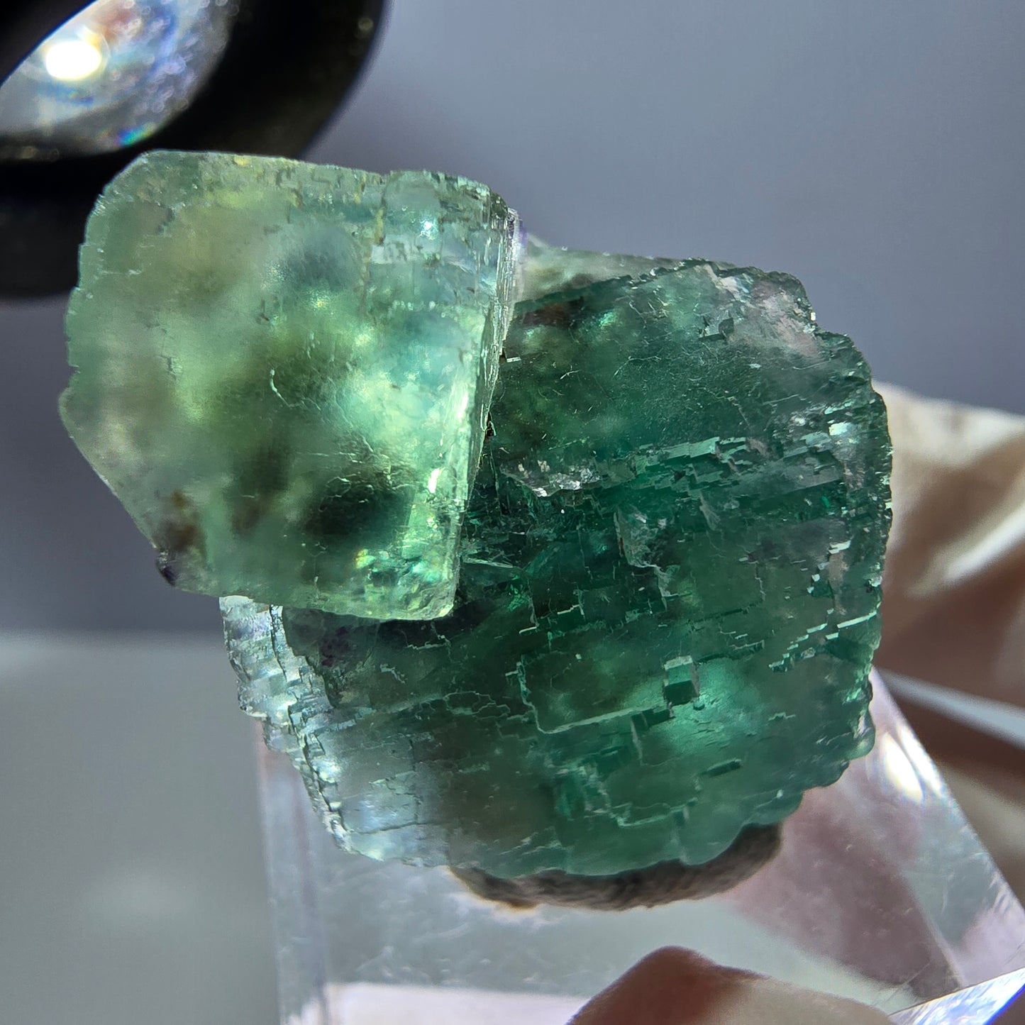 Spécimen de cube de fluorite fantôme, parquet vert Okorusu, Namibie 29 x 22 x 19 mm