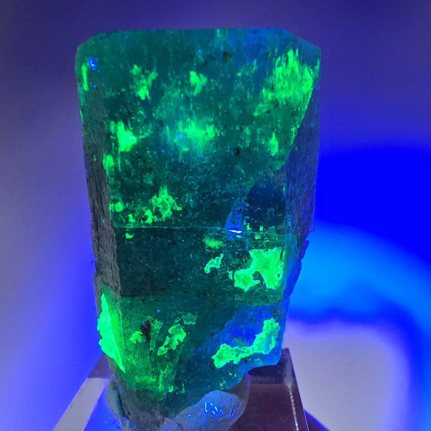 Seltener Aquamarin X mit Hyalit Einschlüssen Erongo, Namibia 42*28*19mm