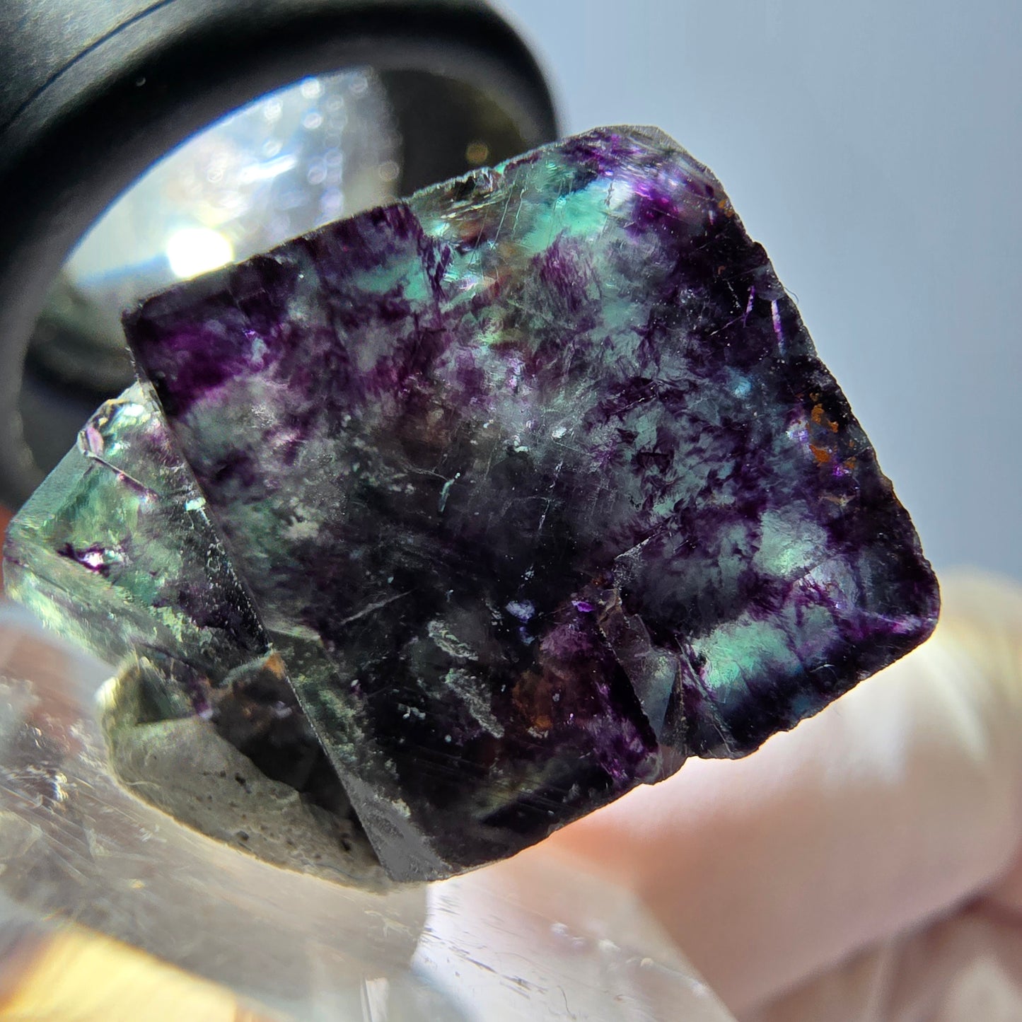 Phantom Fluorit Würfel Stufe, parkettiert grün lila Okorusu, Namibia 19*16*16mm