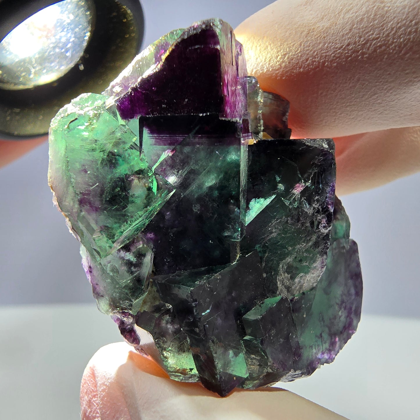 Spécimen de cube de fluorite fantôme parqueté vert violet Okorusu, Namibie 41*30*18mm