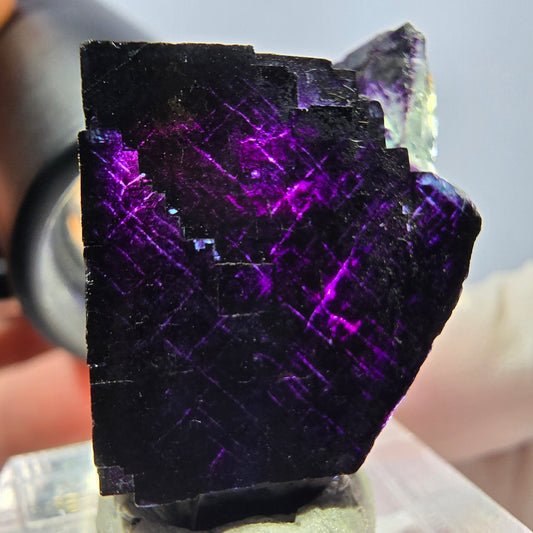 Phantom Fluorit Würfel Stufe grün lila zonal 11:11 Angel Pocket, Namibia 32*21*20mm