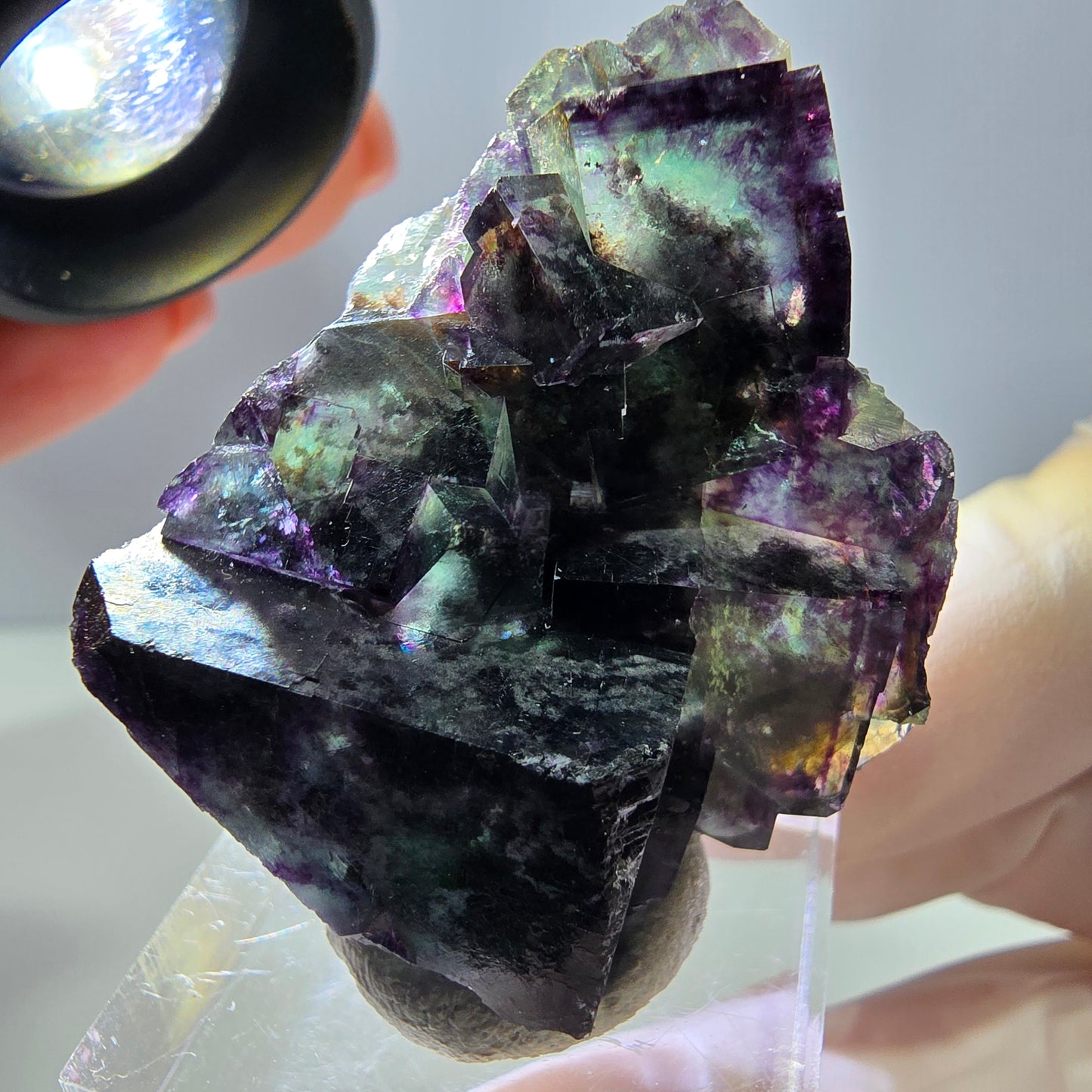 Phantom Fluorit Würfel Stufe, parkettiert grün lila Okorusu, Namibia 39*33*19mm
