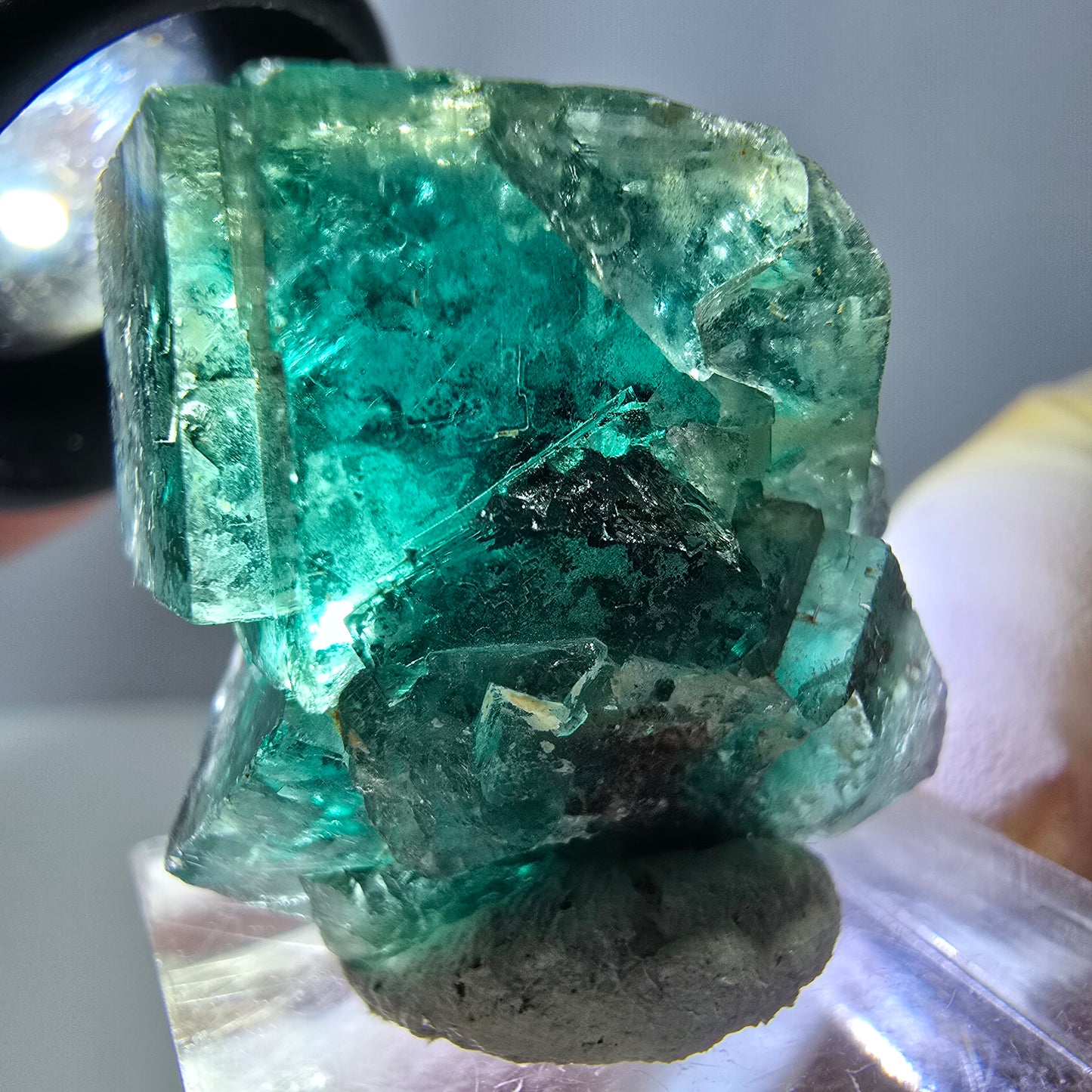 Spécimen de cube de fluorite fantôme, parquet vert Okorusu, Namibie 27 x 25 x 17 mm