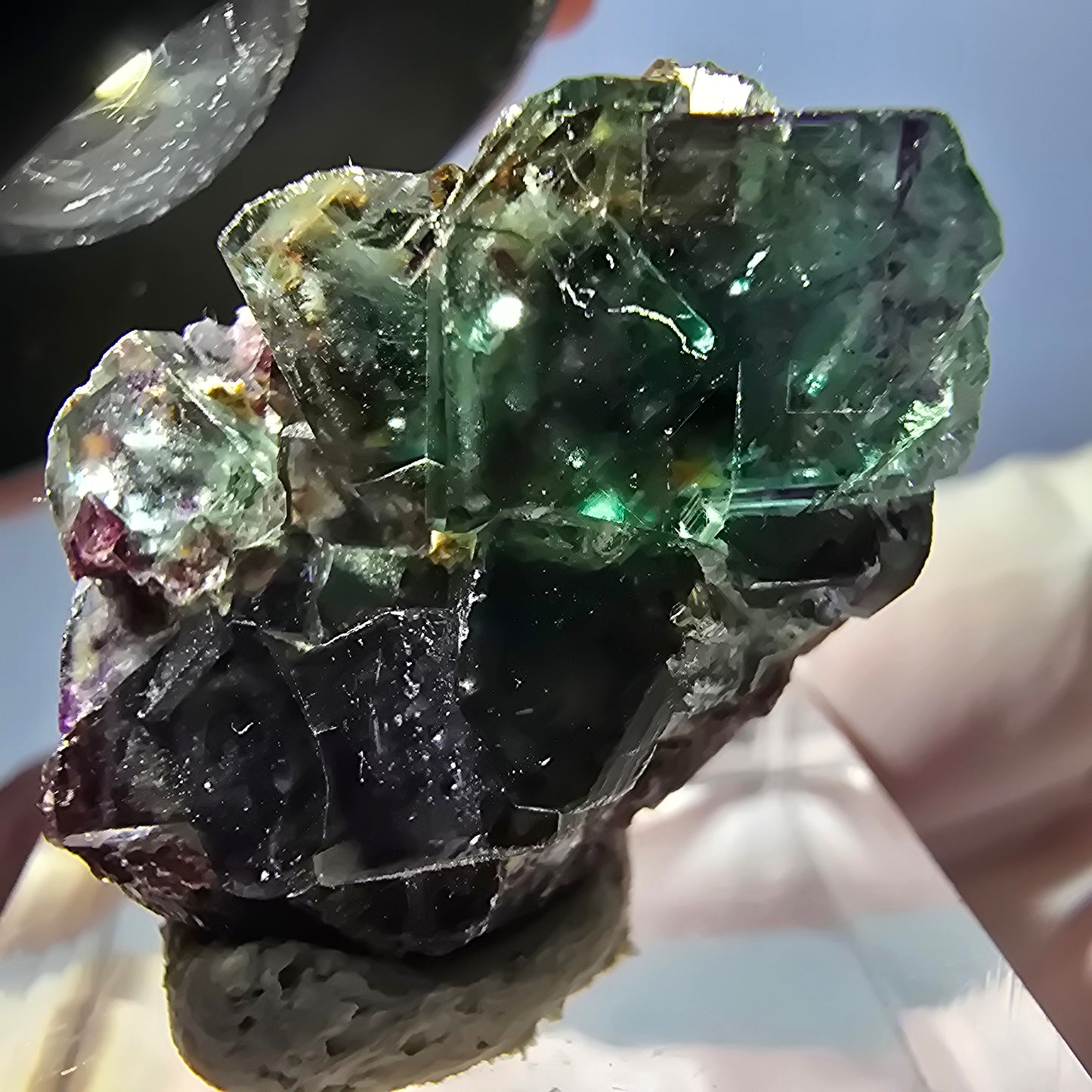 Spécimen de cube de fluorite fantôme, parqueté vert violet Okorusu, Namibie 27 x 20 x 12 mm