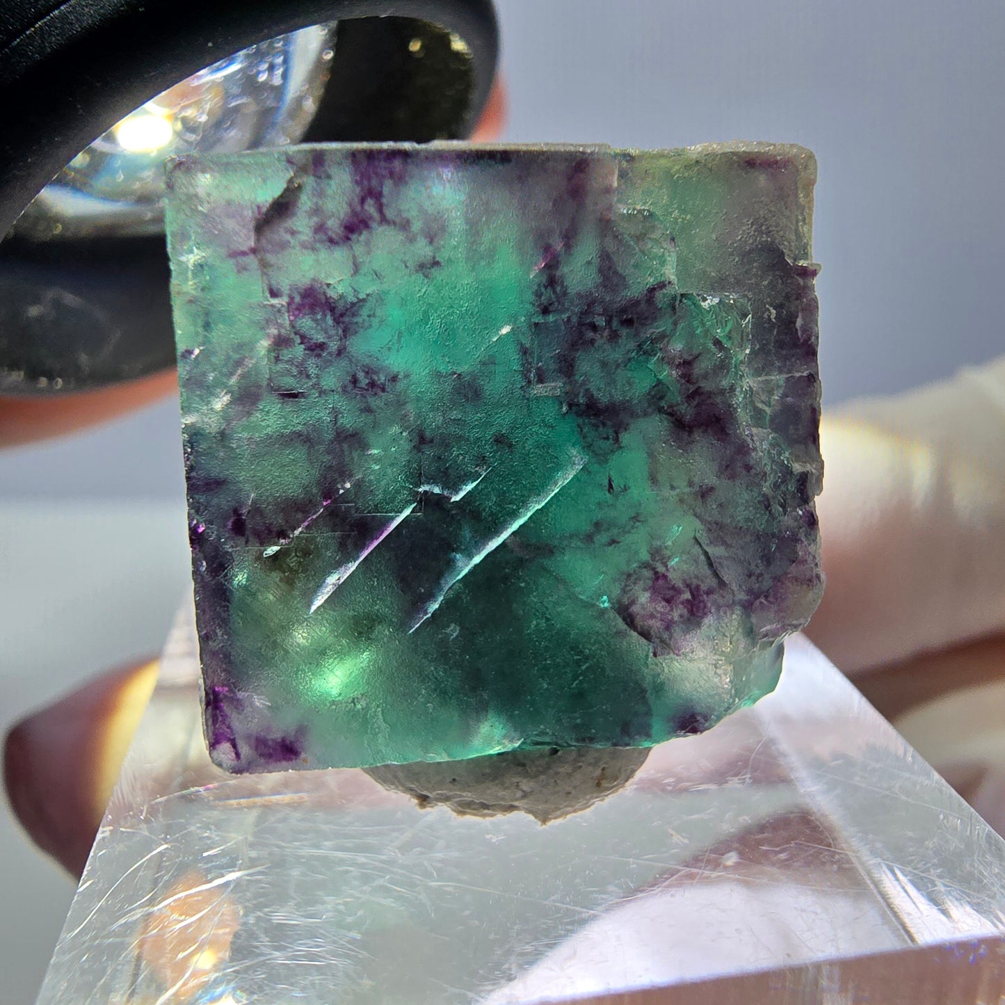 Phantom Fluorit Würfel Stufe, parkettiert grün lila Okorusu, Namibia 21*19*18mm