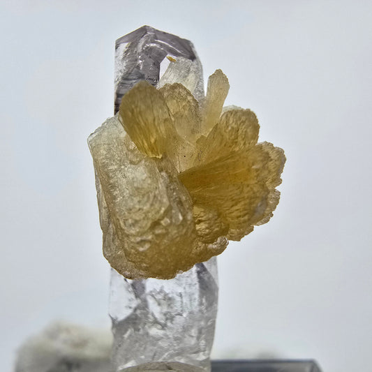 Phantom Amethyst Kristall mit Stilbit Goboboseb, Namibia 32*14*13mm Sammlung