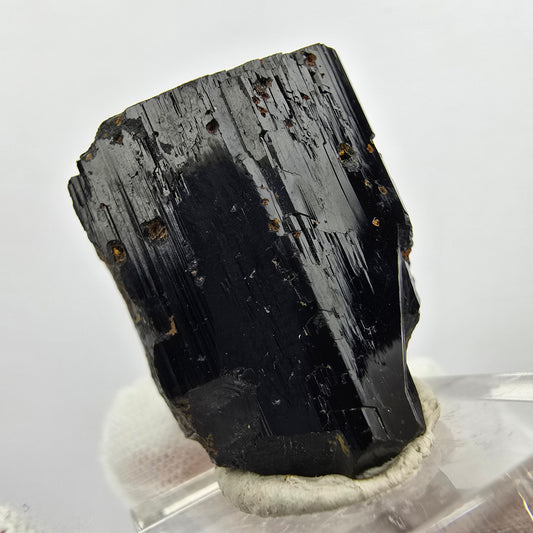 Symmetrischer Schörl Turmalin Kristall Erongo, Namibia 29*24*19mm Sammlung