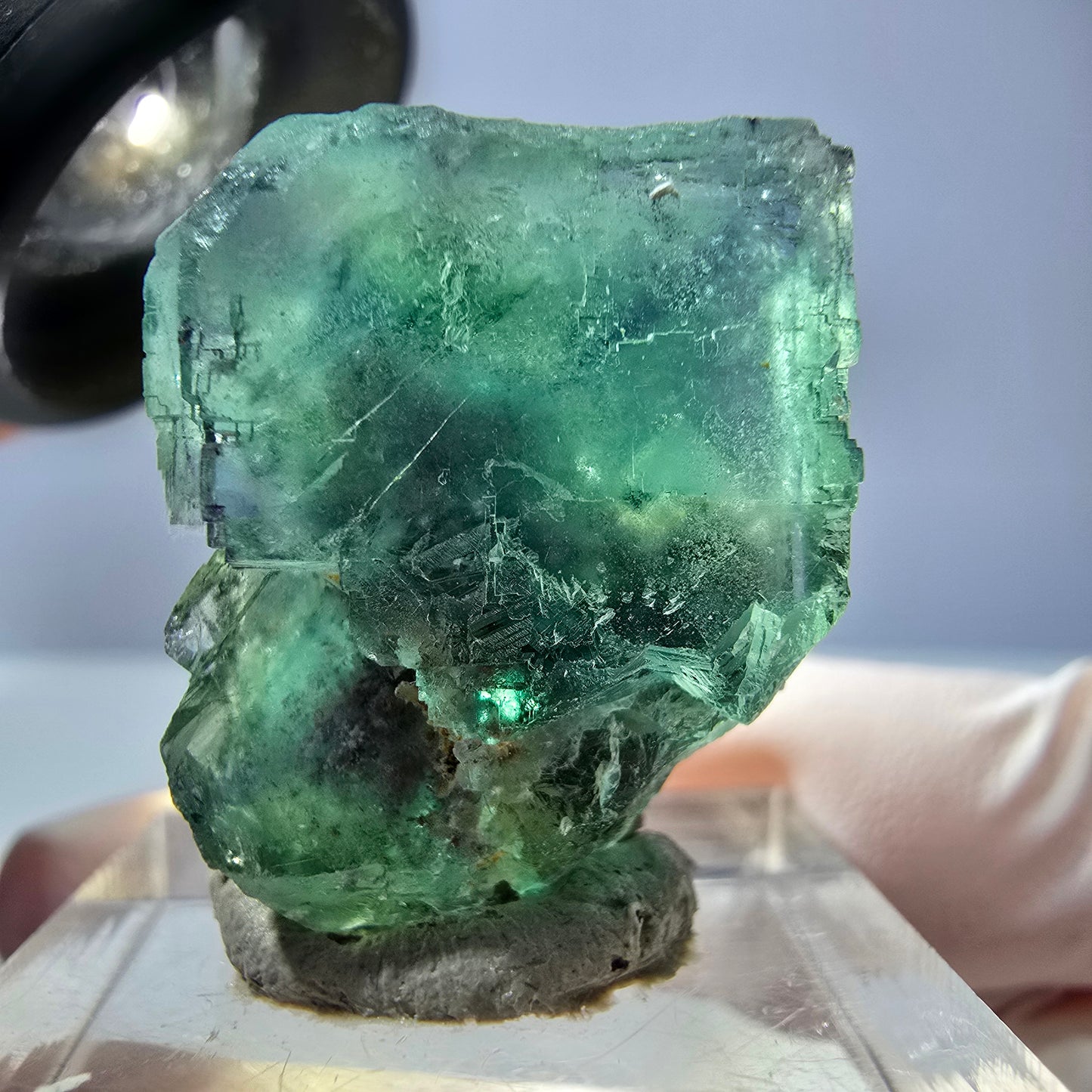 Cube de fluorite fantôme transparente parquetée, vert Okorusu, Namibie 25 x 19 x 15 mm
