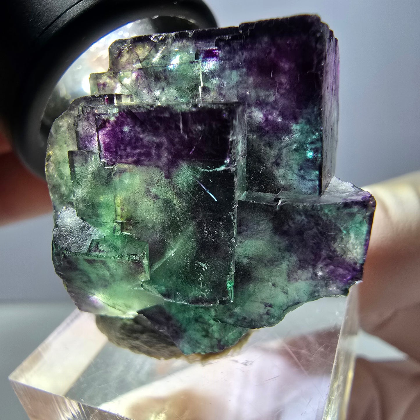 Phantom Fluorit Würfel Stufe, parkettiert grün lila Okorusu, Namibia 33*25*19mm