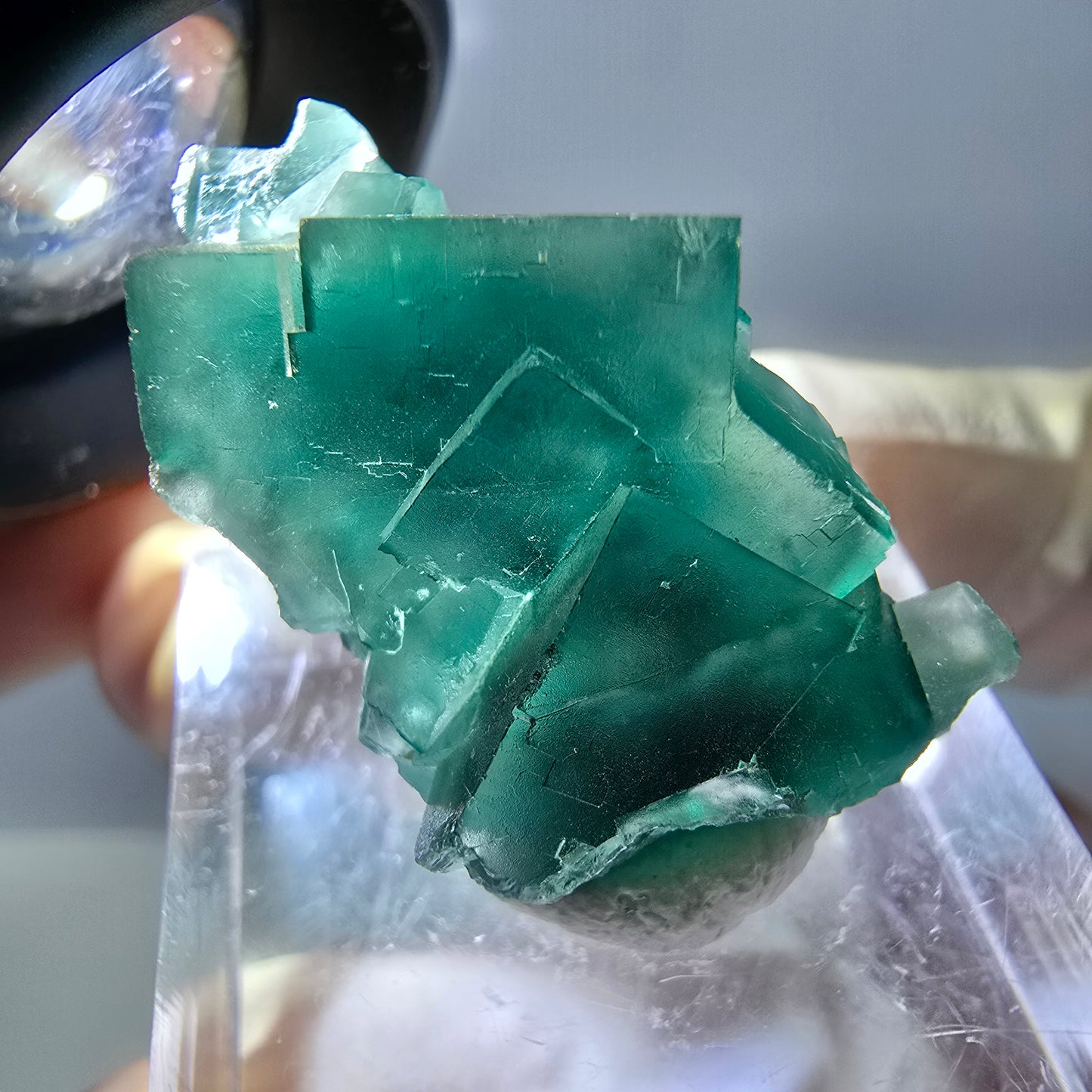 Phantom Fluorit Würfel Stufe, grün parkettiert Okorusu, Namibia 30*18*14mm
