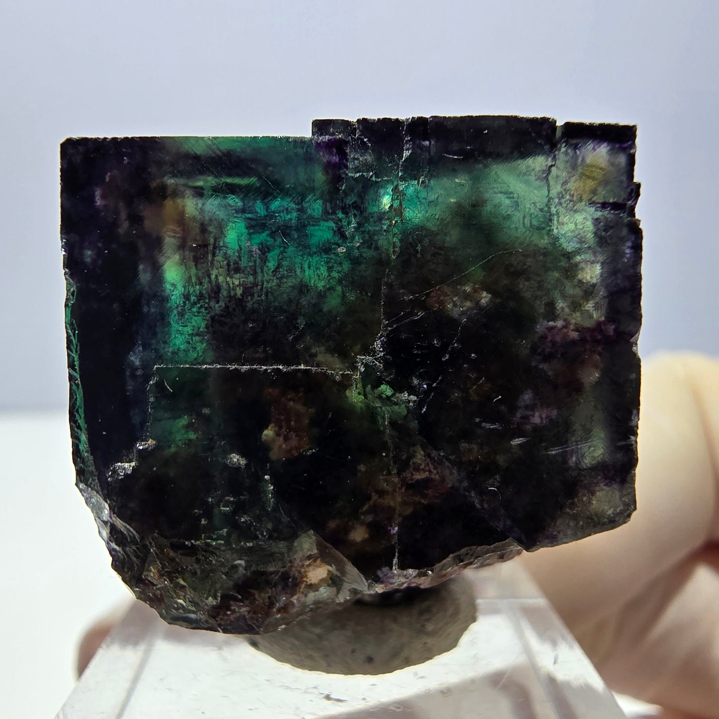 Phantom Fluorit Würfel Stufe, parkettiert grün lila Okorusu, Namibia 28*26*25mm