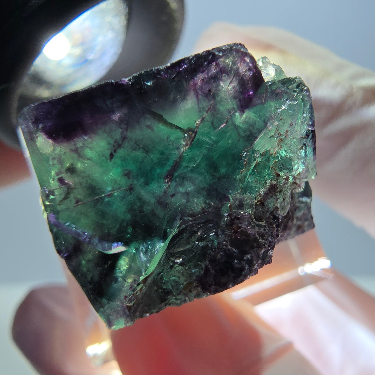 Spécimen de cube de fluorite fantôme, parqueté vert violet Okorusu, Namibie 22*22*18 mm
