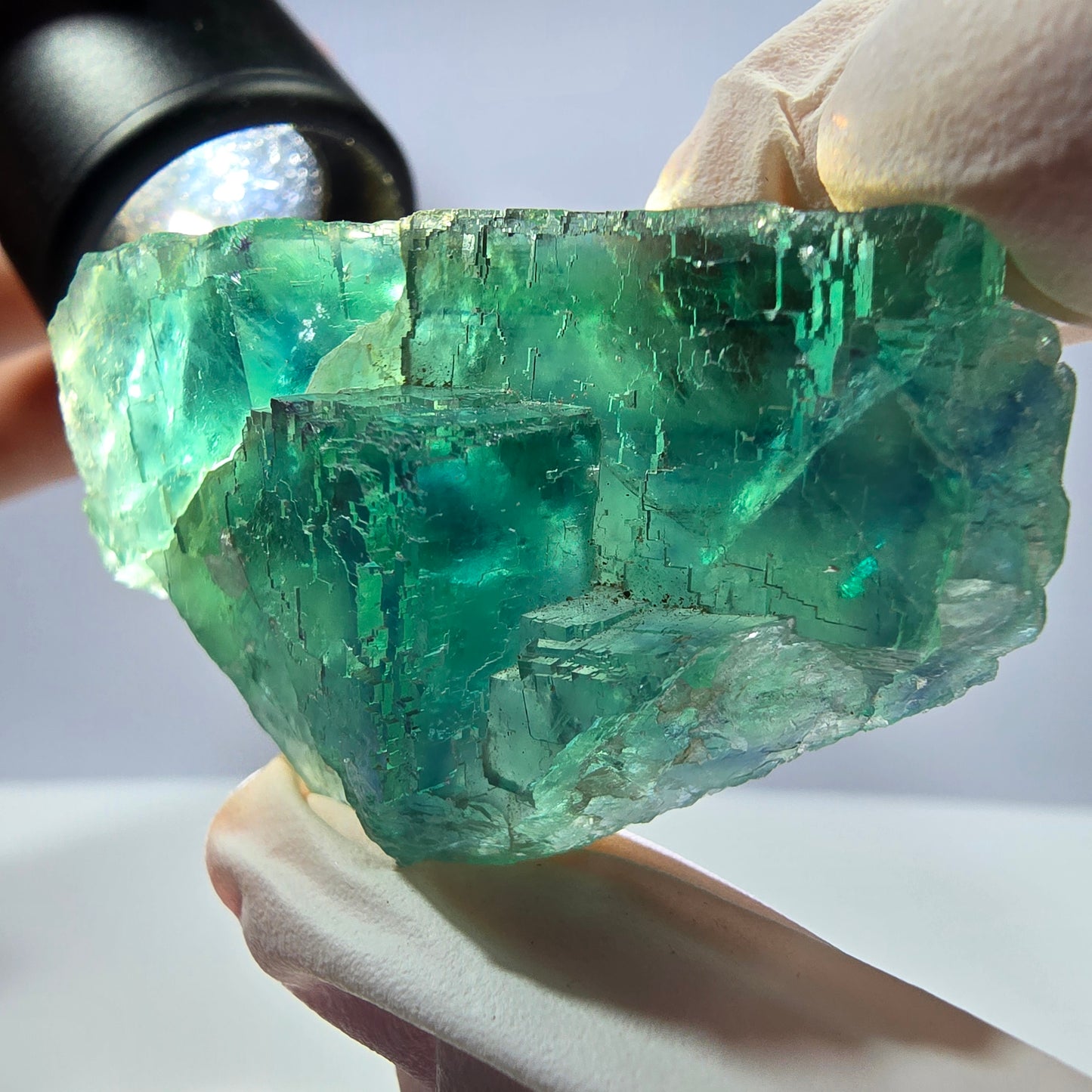 Spécimen de cube de fluorite fantôme transparente, vert parqueté, Okorusu, Namibie, 50 x 34 x 21 mm