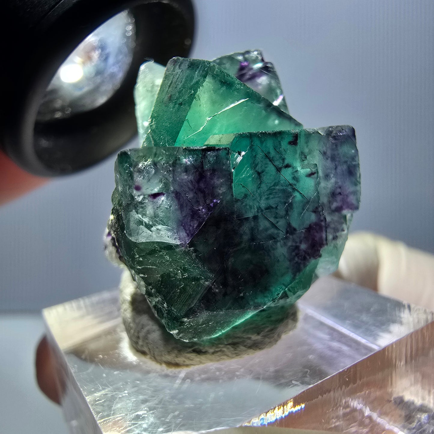 Spécimen de cube de fluorite fantôme, parqueté vert violet Okorusu, Namibie 26*20*18 mm