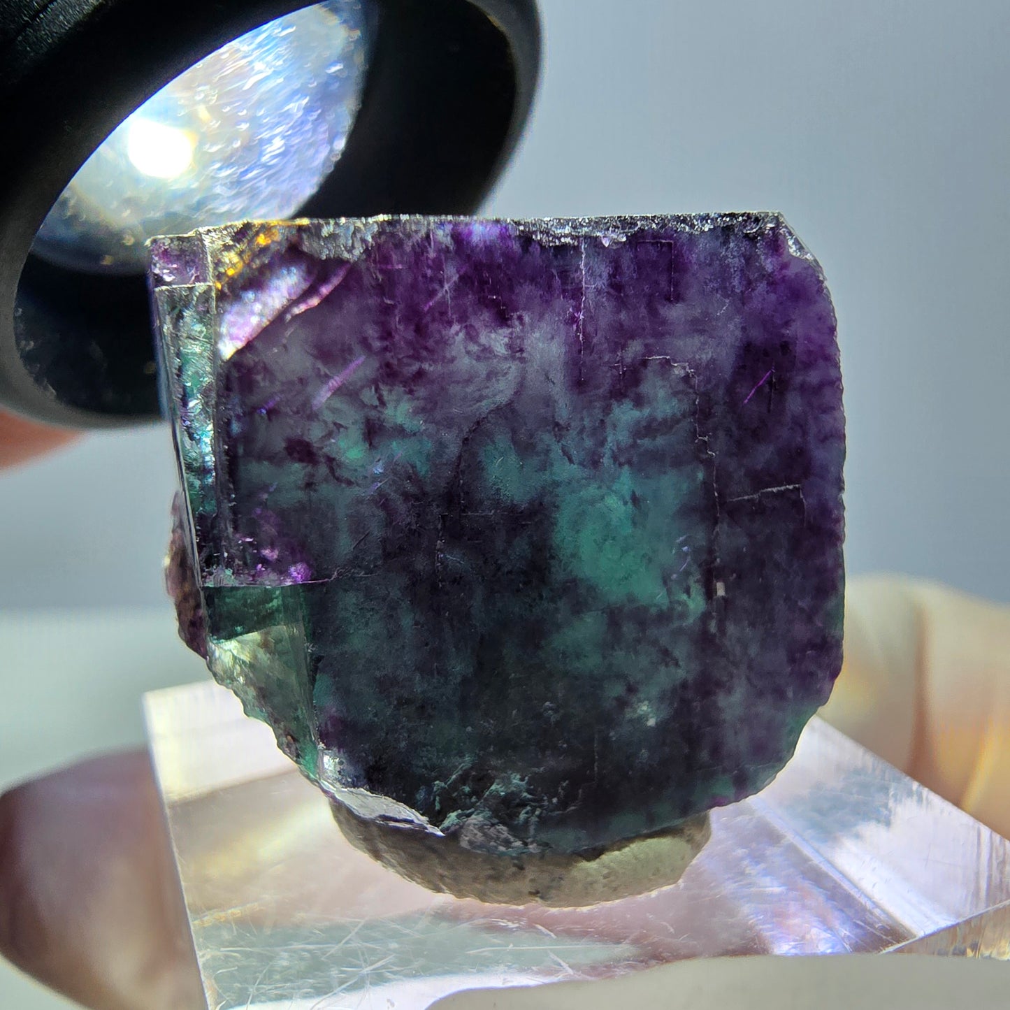 Phantom Fluorit Würfel Stufe, parkettiert grün lila Okorusu, Namibia 22*21*20mm