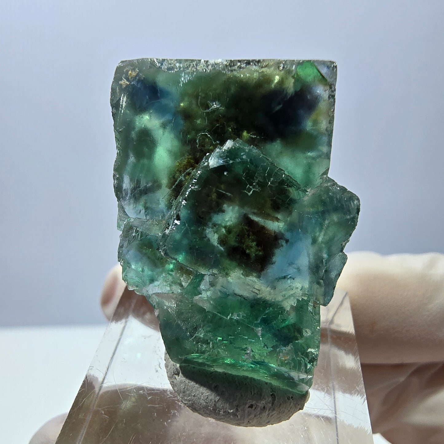Phantom Fluorit Würfel Stufe, grün parkettiert Okorusu, Namibia 38*24*23mm