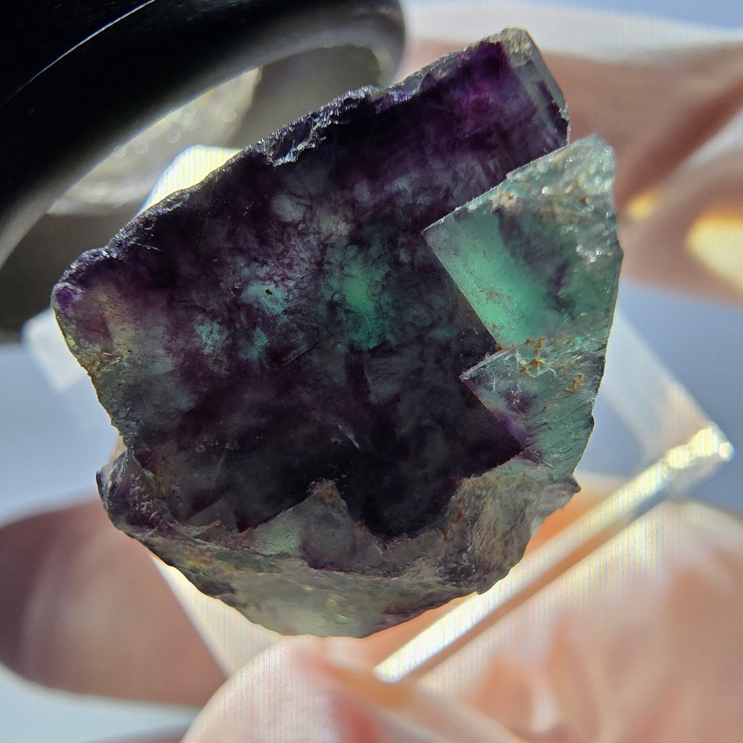 Spécimen de cube de fluorite fantôme, parqueté vert violet Okorusu, Namibie 24 x 19 x 17 mm
