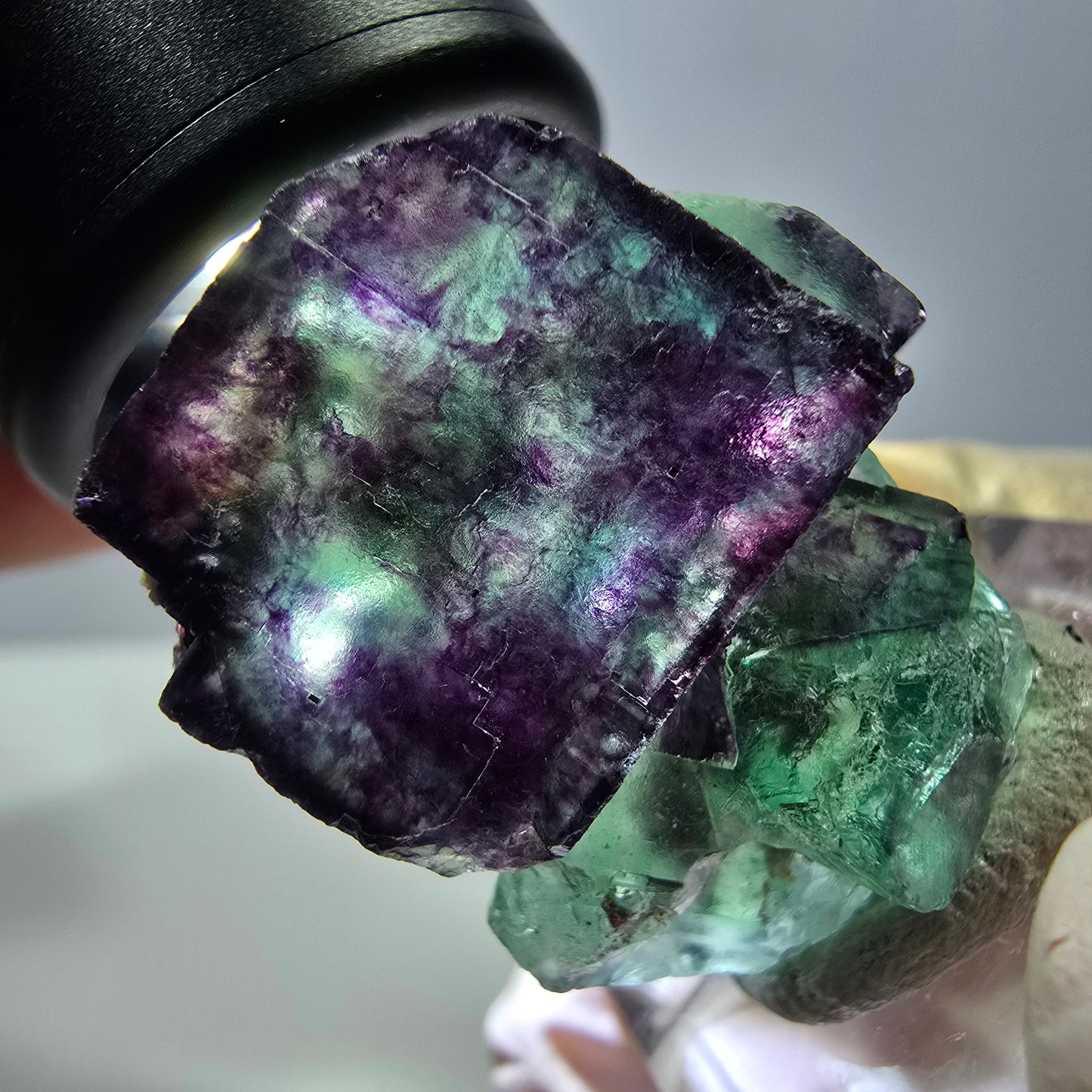 Phantom Fluorit Würfel Stufe, parkettiert grün lila Okorusu, Namibia 30*28*16mm