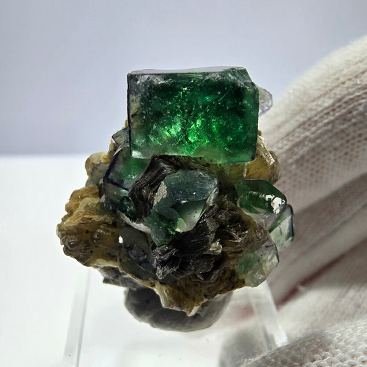 Spécimen de cube de fluorite fantôme zonal, de muscovite et de tourmaline Schorl, Erongo, Namibie, 31 x 24 x 27 mm