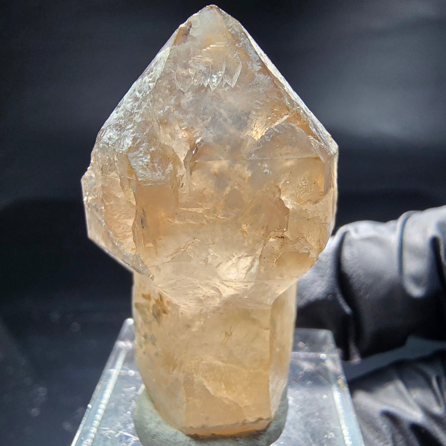 Schöne Phantom Rauchquarz Zepter Hyalit Spitze Erongo, Namibia 39*24*15mm