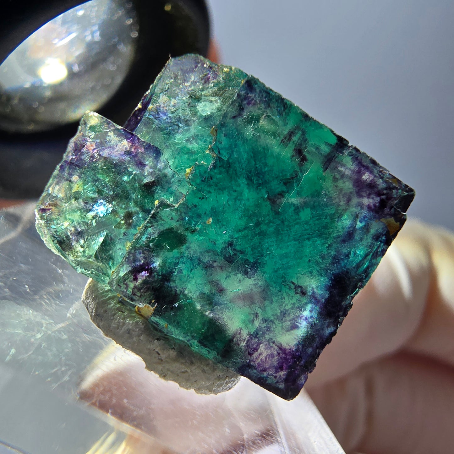 Phantom Fluorit Würfel Stufe, parkettiert grün lila Okorusu, Namibia 18*15*13mm