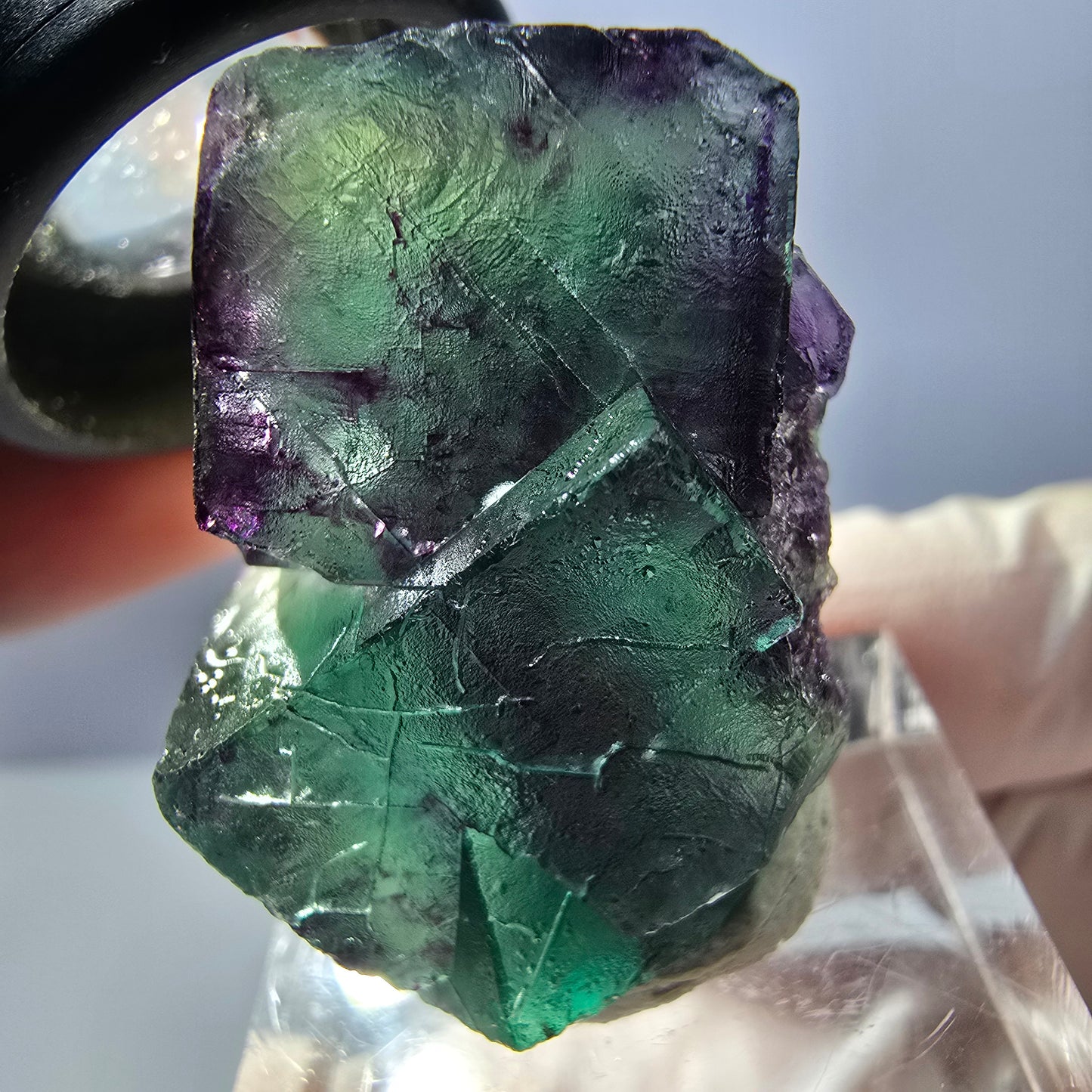 Spécimen de cube de fluorite fantôme, parqueté vert violet Okorusu, Namibie 32*23*16 mm