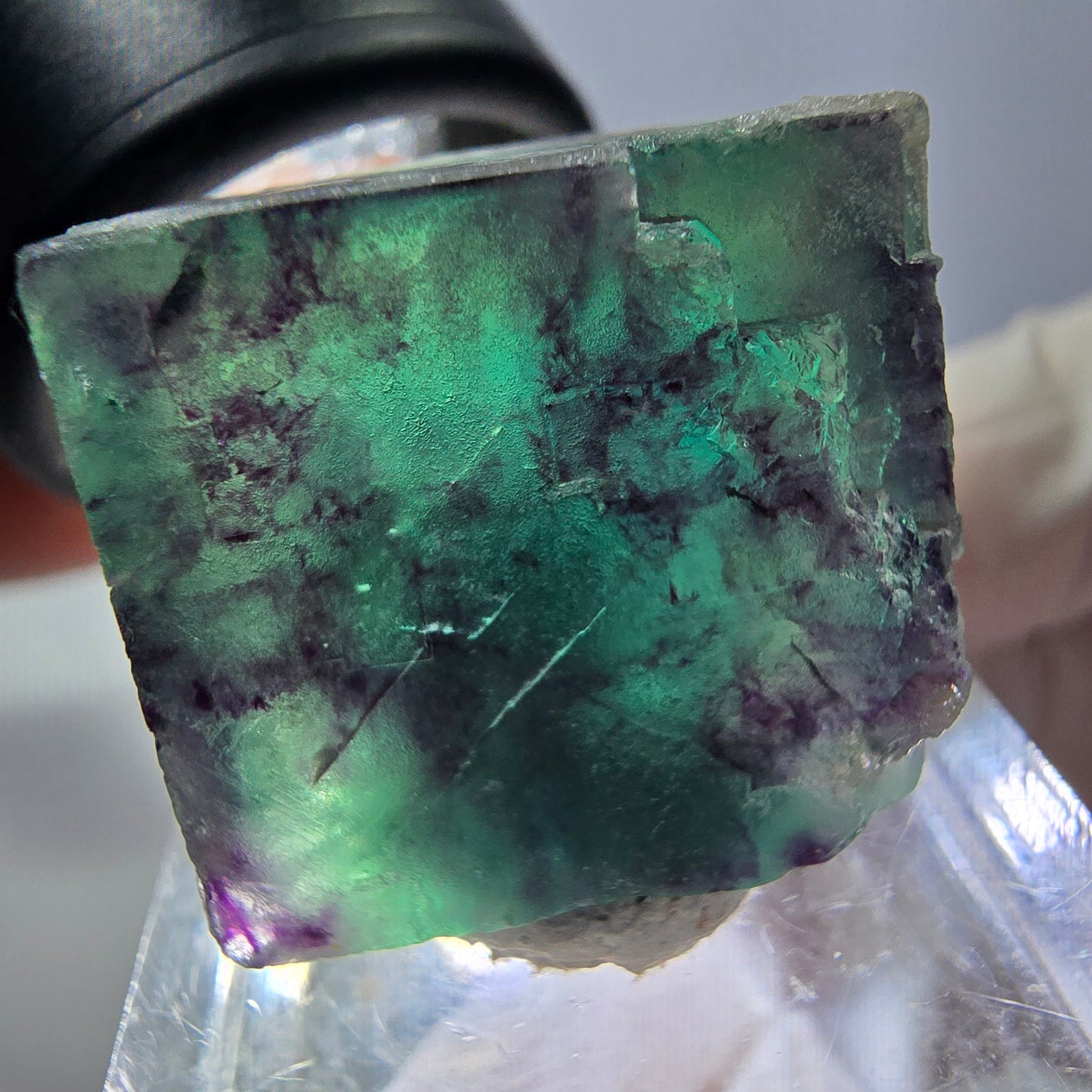 Phantom Fluorit Würfel Stufe, parkettiert grün lila Okorusu, Namibia 21*19*18mm
