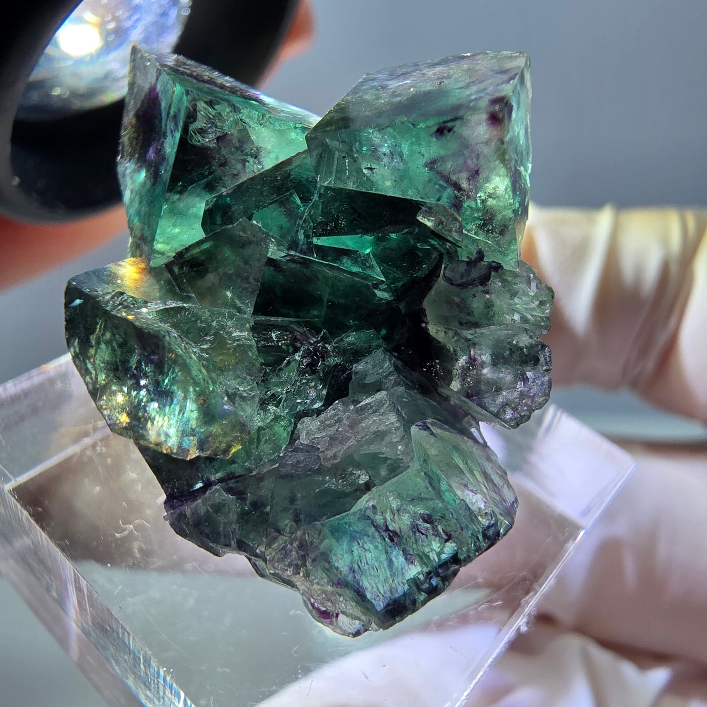 Phantom Fluorit Würfel Stufe, parkettiert grün lila Okorusu, Namibia 31*25*14mm