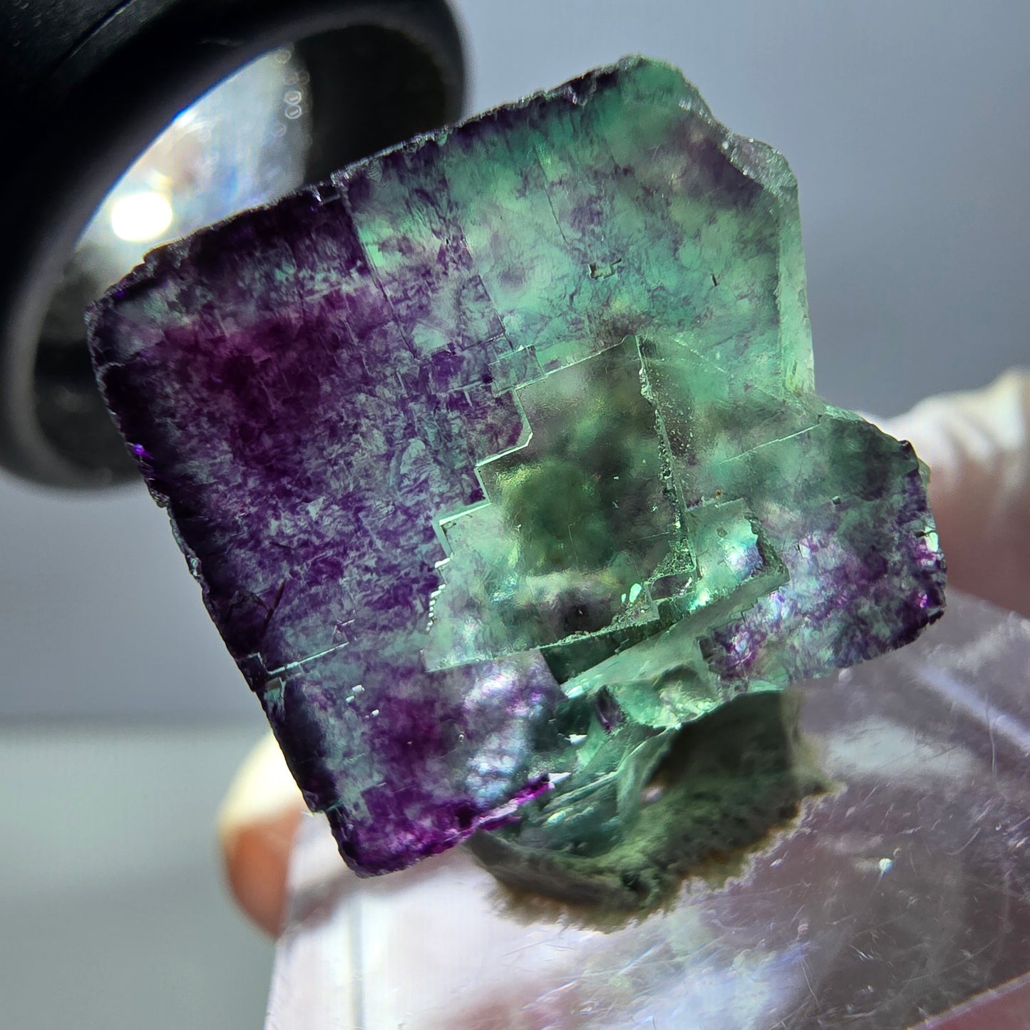 Spécimen de cube de fluorite fantôme, parqueté vert violet Okorusu, Namibie 22*20*11mm