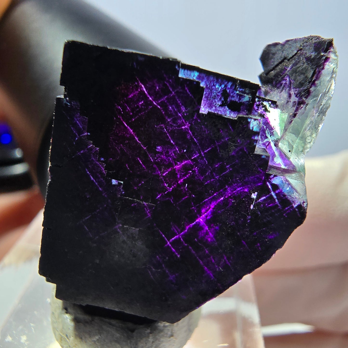 Phantom Fluorit Würfel Stufe grün lila zonal 11:11 Angel Pocket, Namibia 32*21*20mm