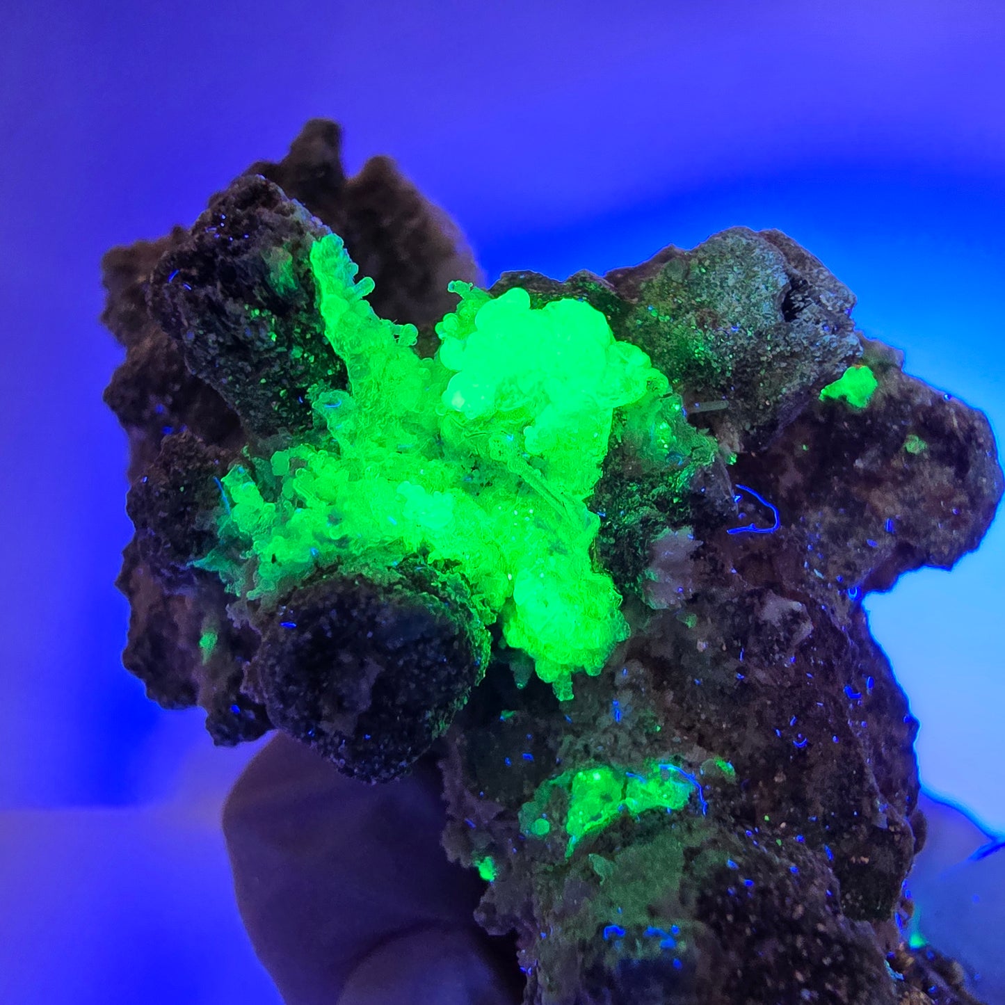 Hyalit Opal, Schörl Turmalin, Orthoklas Muskovit Stufe Erongo, Namibia 90*73*52mm