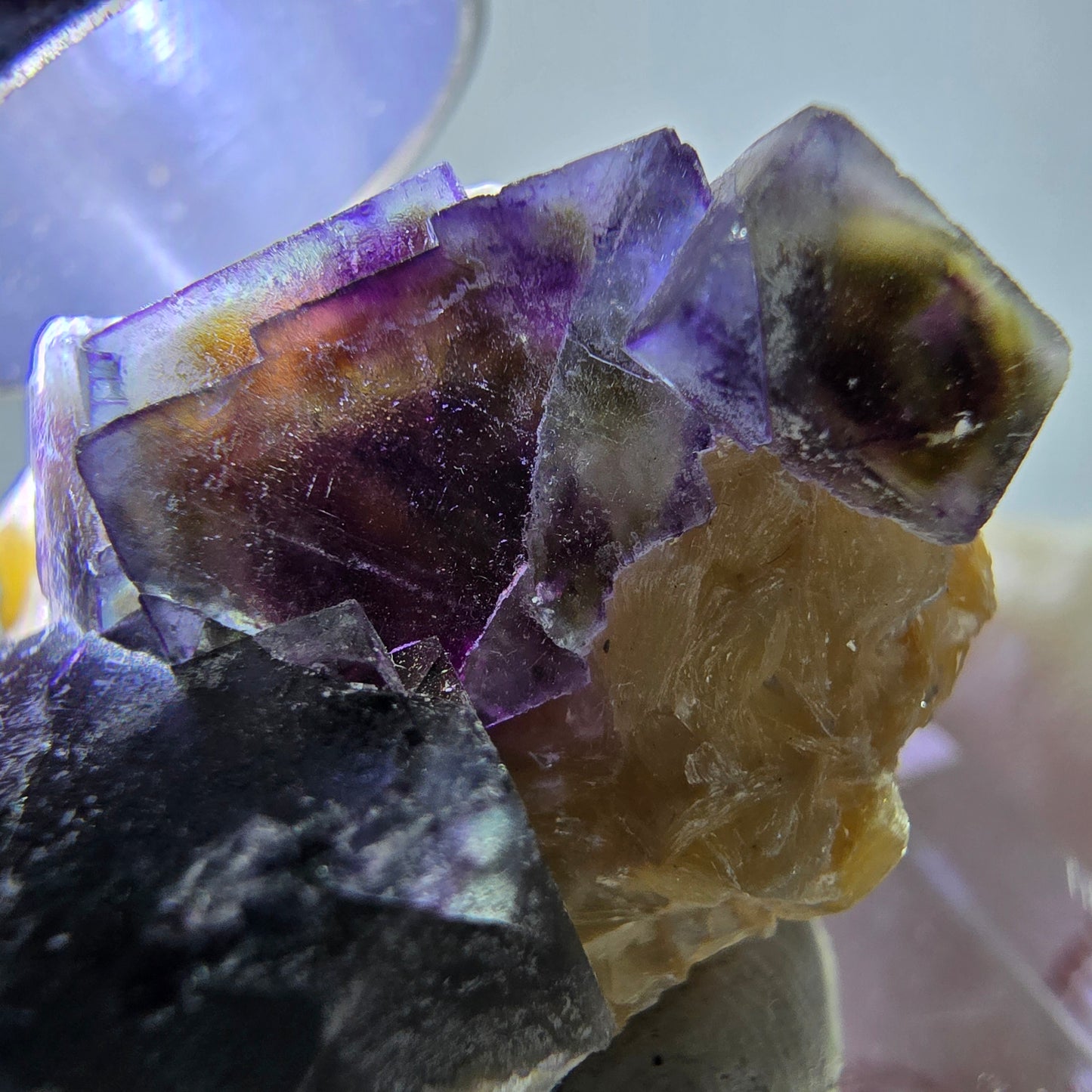 Cubes de fluorite fantôme colorés, spécimen de muscovite, Erongo, Namibie, 32 x 27 x 13 mm