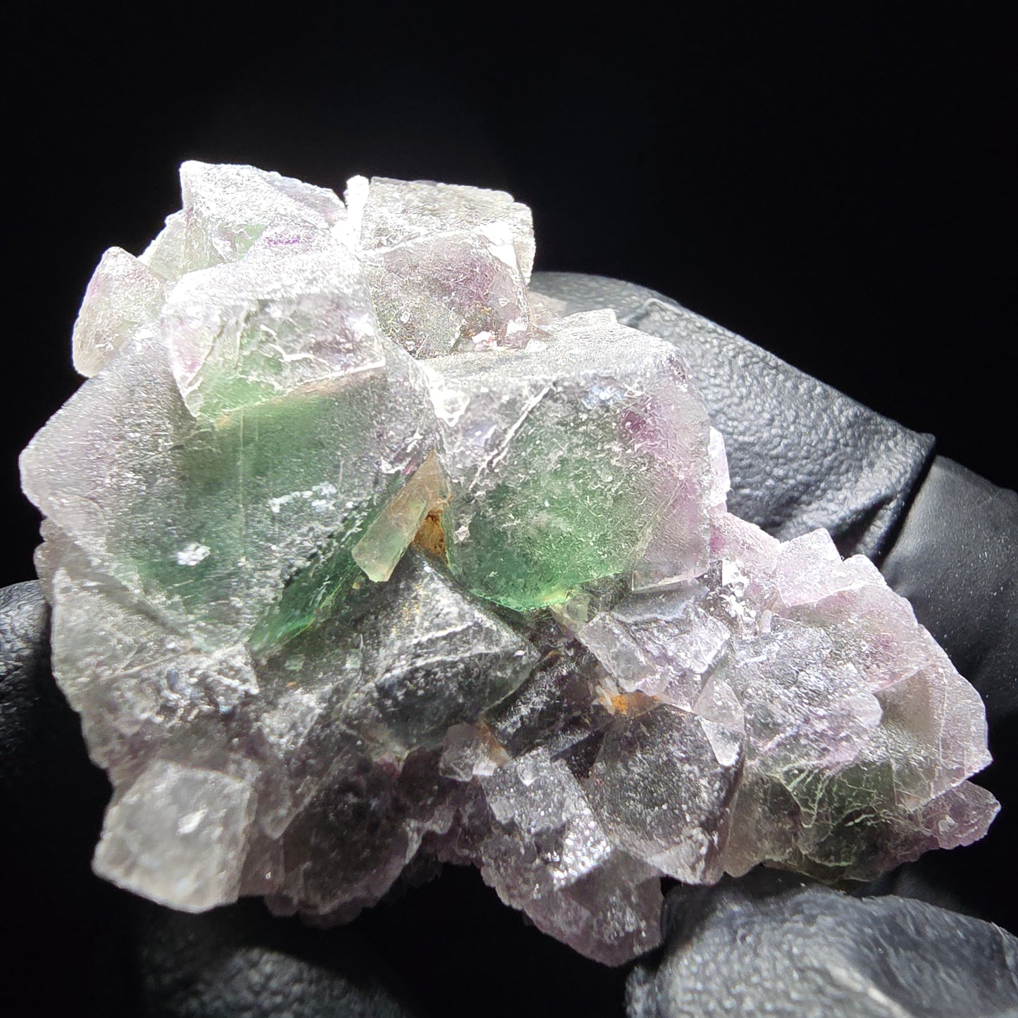 Phantom Fluorite Cube Tier Violet Vert Blanc Erongo, Namibie 55*35*21mm Collection