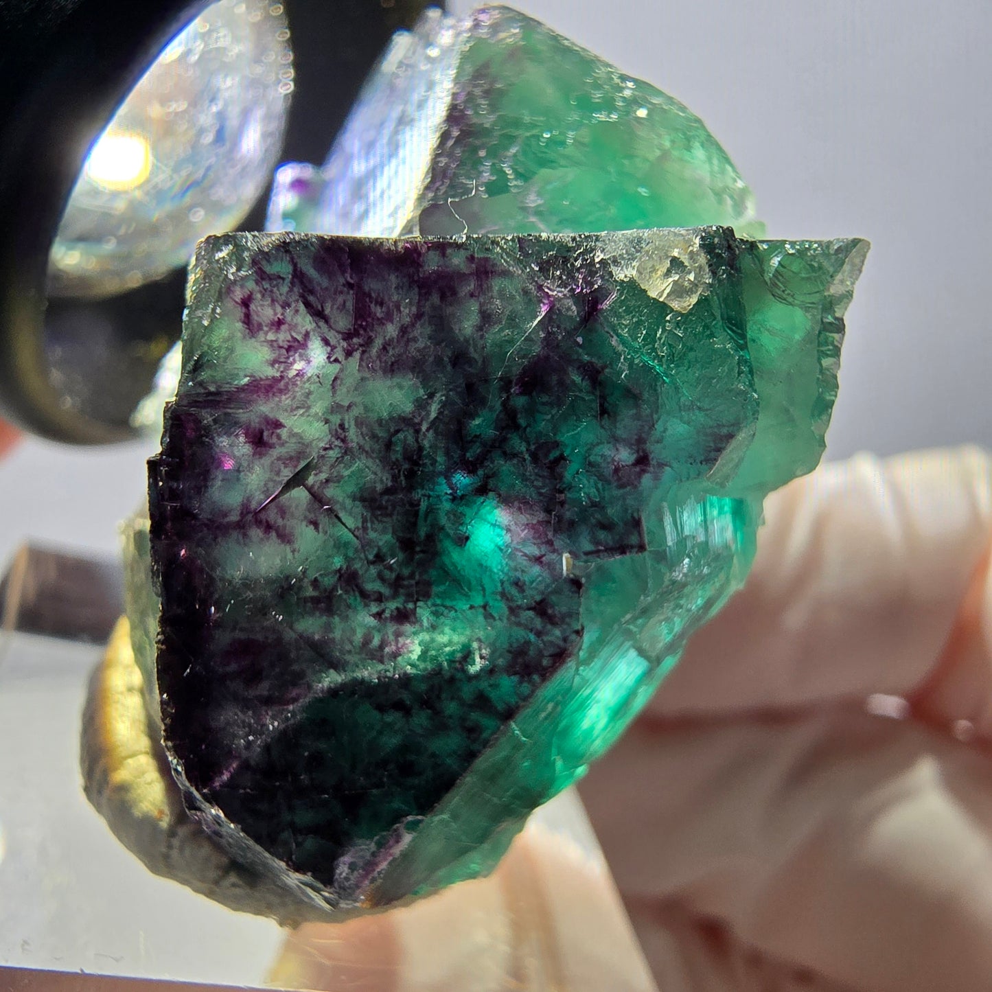 Spécimen de cube de fluorite fantôme, parqueté vert violet Okorusu, Namibie 40*31*20 mm