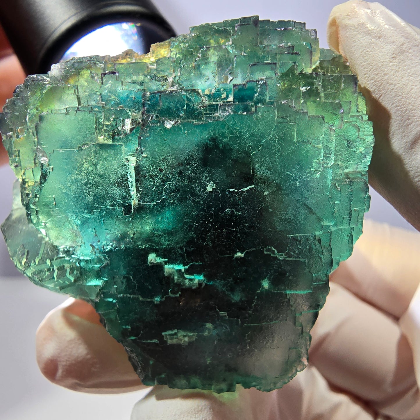 Spécimen de cube de fluorite fantôme, parqueté vert violet Okorusu, Namibie 45*43*31 mm
