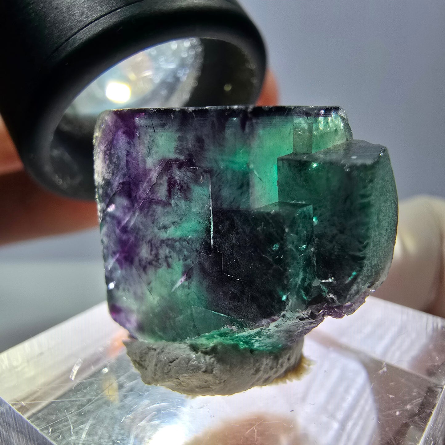 Phantom Fluorit Würfel Stufe, parkettiert grün lila Okorusu, Namibia 21*18*15mm
