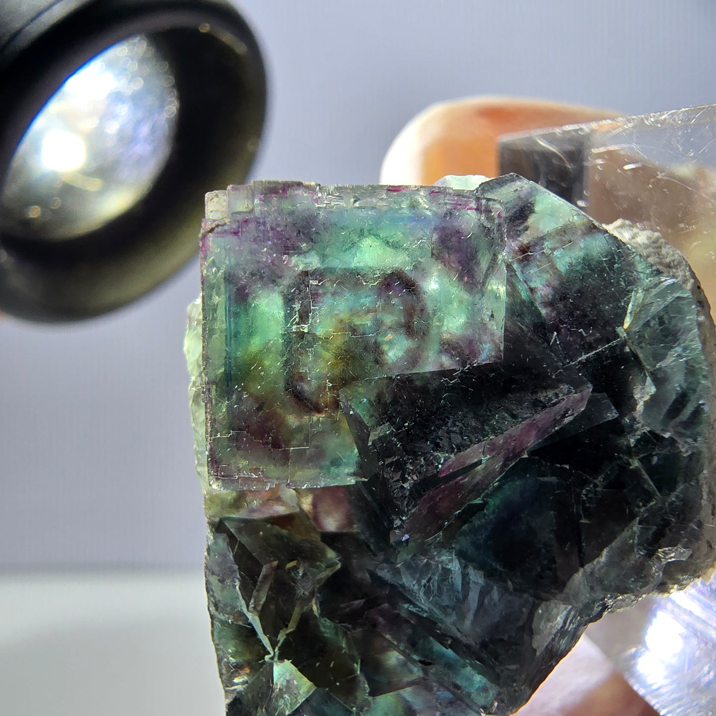 Spécimen de cube de fluorite fantôme, parqueté vert violet Okorusu, Namibie 29*21*12 mm
