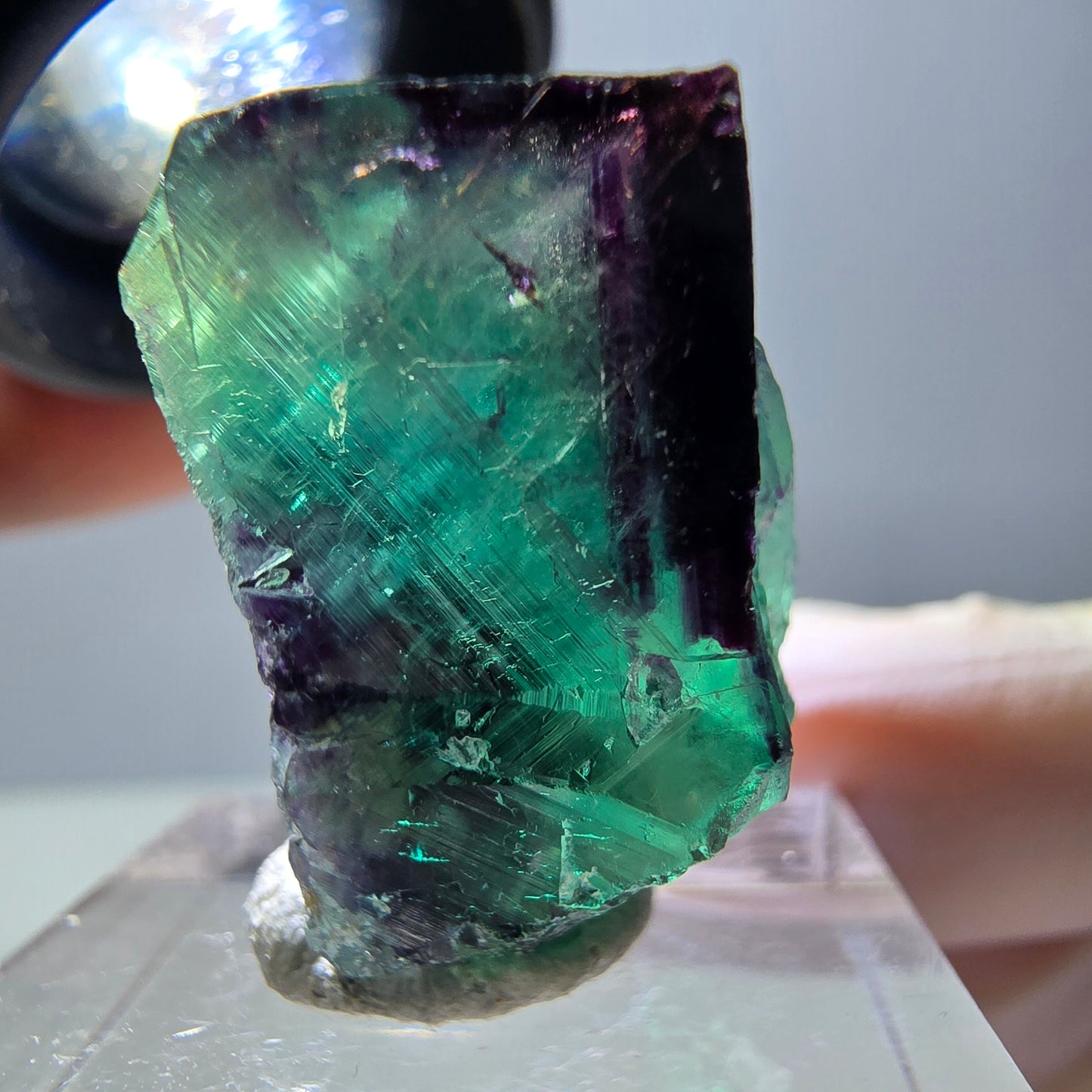 Phantom Fluorit Würfel Stufe, parkettiert grün lila Okorusu, Namibia 23*23*15mm
