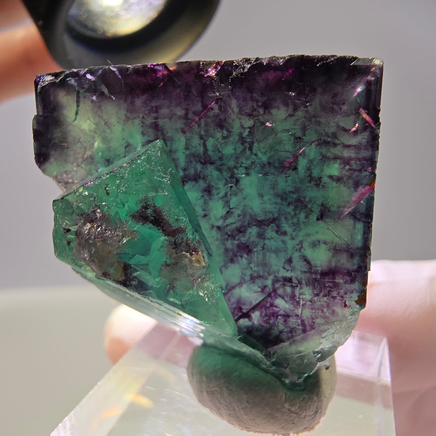 Rare cube de fluorite fantôme parqueté vert violet Okorusu Namibie 32*31*22mm