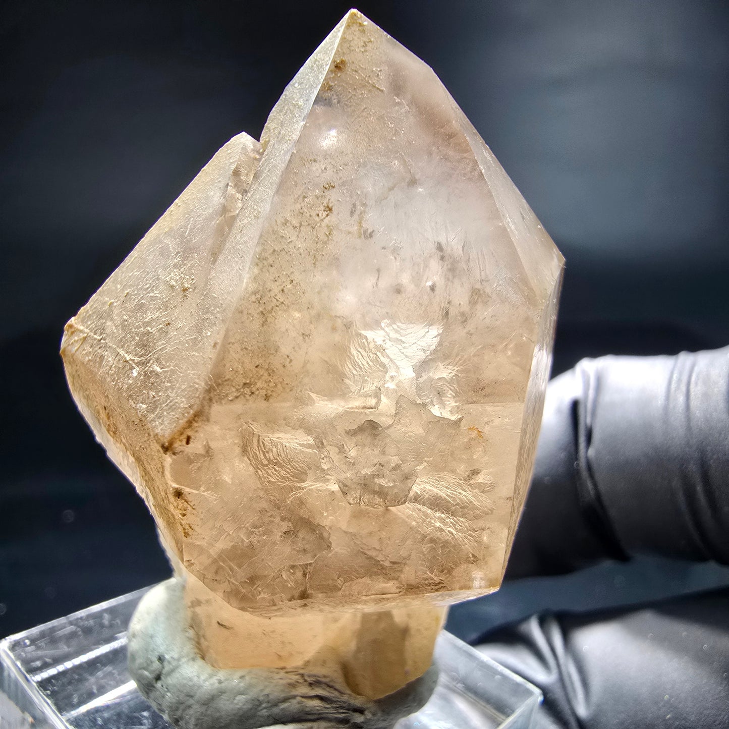 Schöne Phantom Rauchquarz Zepter Spitze Erongo, Namibia 44*31*26mm Sammlung