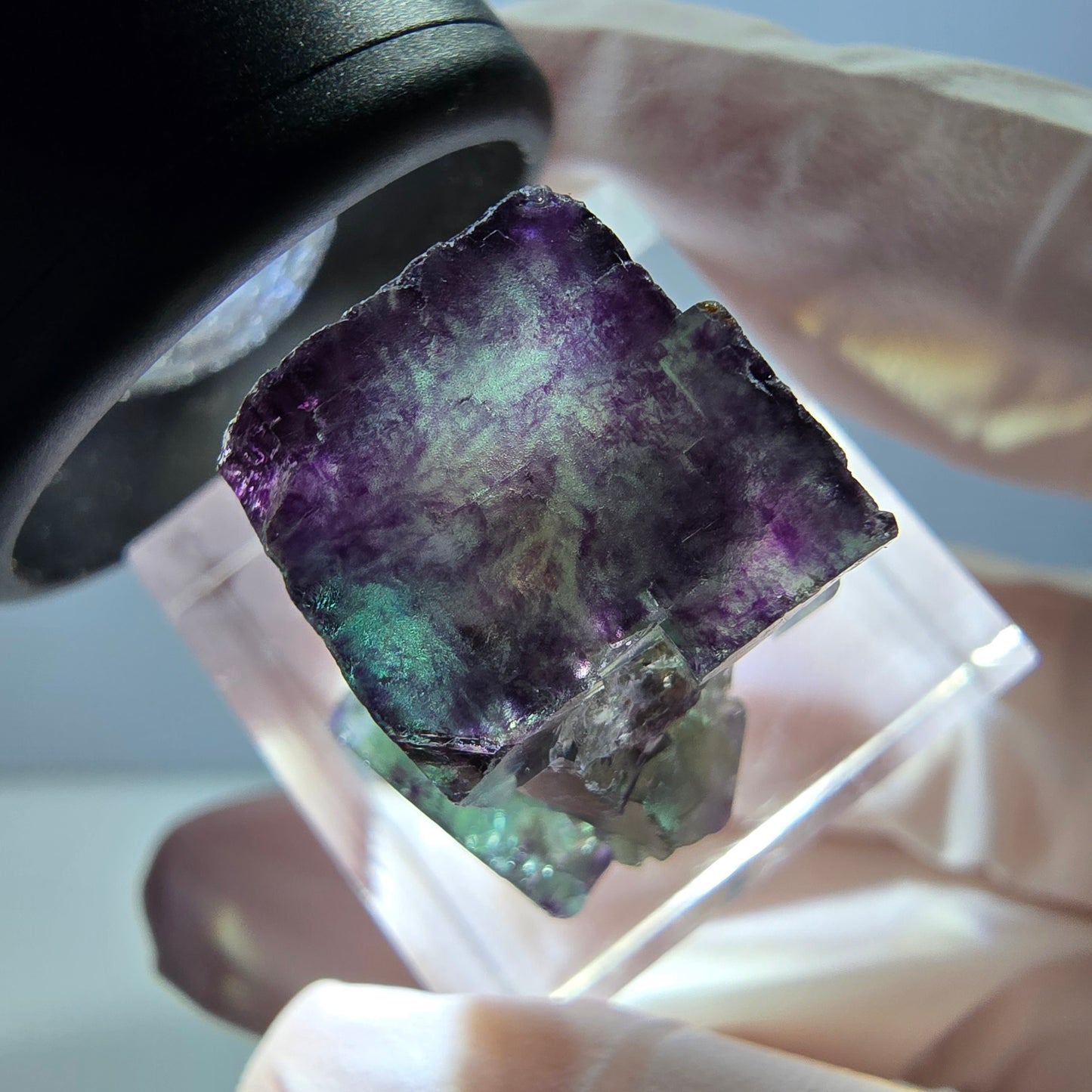 Spécimen de cube de fluorite fantôme, parqueté vert violet Okorusu, Namibie 25*19*15 mm